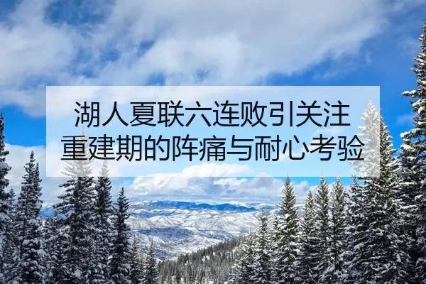 湖人夏联六连败引关注 重建期的阵痛与耐心考验