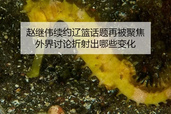 赵继伟续约辽篮话题再被聚焦 外界讨论折射出哪些变化